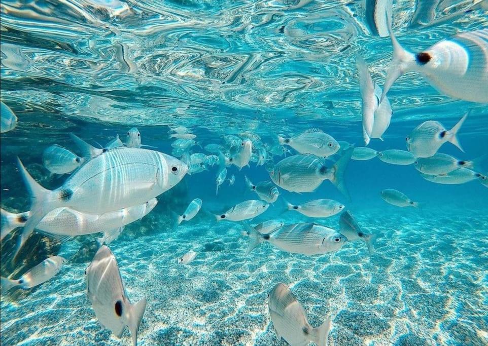 Апартаменты El Playaiso De Aguamarga Агуа-Амарга Экстерьер фото